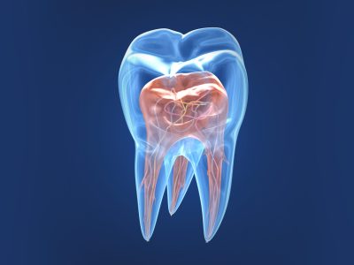 endo endo